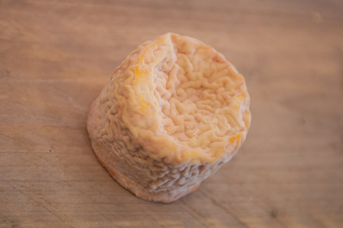 Een roofdlora kaas uit Langres, Frankrijk.